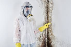 Why You Should Choose Our Mold Remediation Services in Middleport, OH